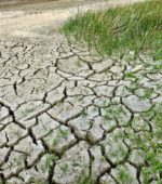 dehydrated land cracking