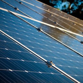 solar panels collecting energy in the bright sun