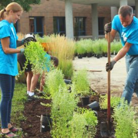 community service volunteers planting in garden